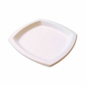 PLATO PULPA CUADRADO 170 x 170 mm