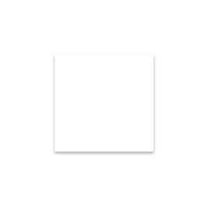 PAPEL ANTIGRASAS  BASKET 35 G/M2 31 x 31 cm BLANCO